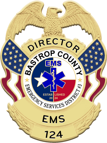 Badge with Eagle and Flags