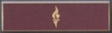 TORCH, 1 Section Commendation Bar