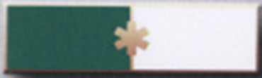 STAR OF LIFE, 2 Section Commendation Bar