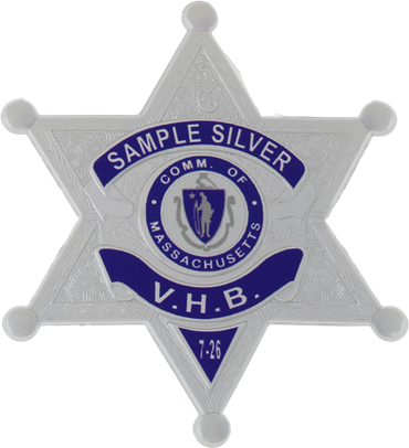 Reverse Enamel Six Point FlexBadge with Ball Points